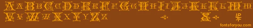 Blavicke-Schriftart – Orangefarbene Schriften auf braunem Hintergrund