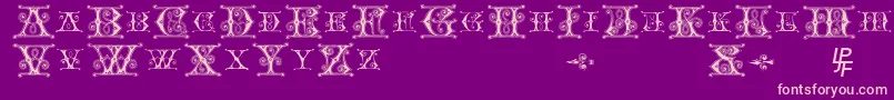 Blavicke Font – Pink Fonts on Purple Background