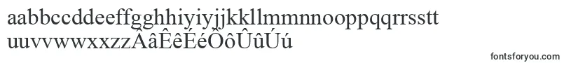 Шрифт TimesNewRoman – фризские шрифты