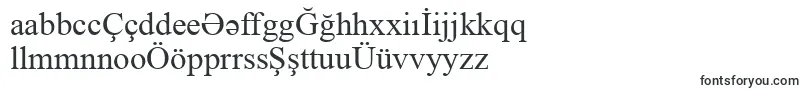 TimesNewRoman Font – Azerbaijani Fonts