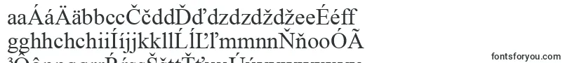 TimesNewRoman Font – Slovak Fonts