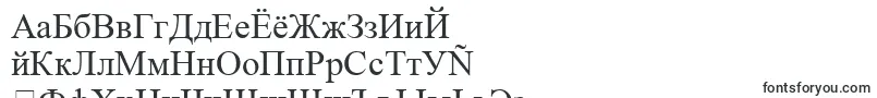 TimesNewRoman Font – Russian Fonts