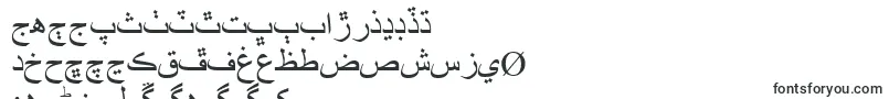TimesNewRoman Font – Sindhi Fonts