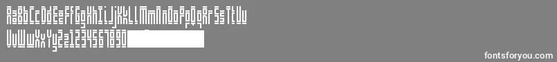ShelfLife Font – White Fonts on Gray Background