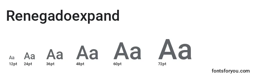 Размеры шрифта Renegadoexpand