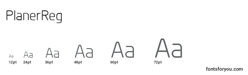 PlanerReg Font Sizes
