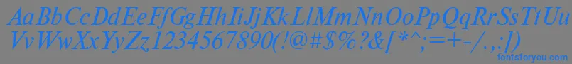 フォントTimesdlItalic – 灰色の背景に青い文字