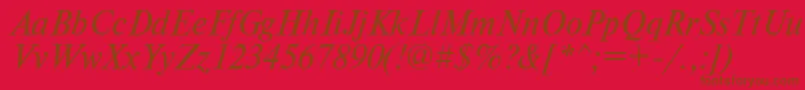 TimesdlItalic Font – Brown Fonts on Red Background