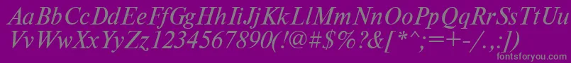 TimesdlItalic Font – Gray Fonts on Purple Background