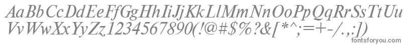 TimesdlItalic Font – Gray Fonts