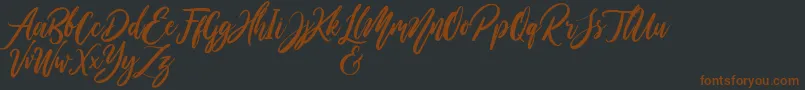 WildOnesPersonalUse Font – Brown Fonts on Black Background