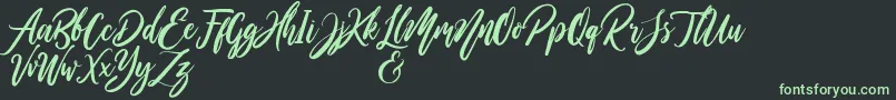 WildOnesPersonalUse Font – Green Fonts on Black Background