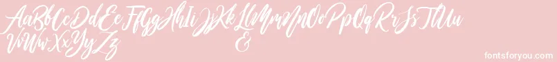 WildOnesPersonalUse Font – White Fonts on Pink Background