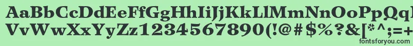 WilkeltstdBlack Font – Black Fonts on Green Background
