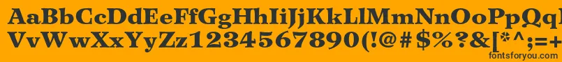 WilkeltstdBlack Font – Black Fonts on Orange Background