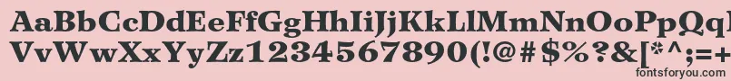 WilkeltstdBlack Font – Black Fonts on Pink Background