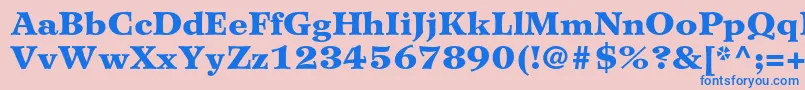 WilkeltstdBlack Font – Blue Fonts on Pink Background