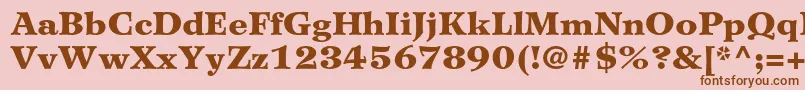 WilkeltstdBlack Font – Brown Fonts on Pink Background