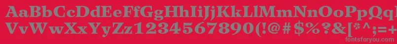 Шрифт WilkeltstdBlack – серые шрифты на красном фоне