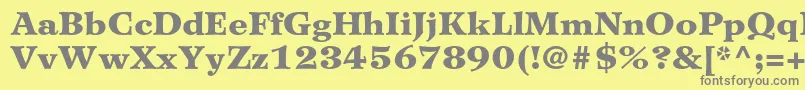 WilkeltstdBlack Font – Gray Fonts on Yellow Background