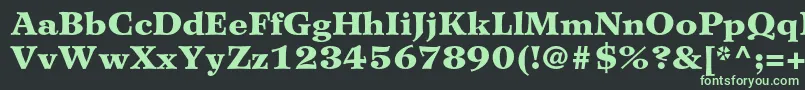 WilkeltstdBlack Font – Green Fonts on Black Background