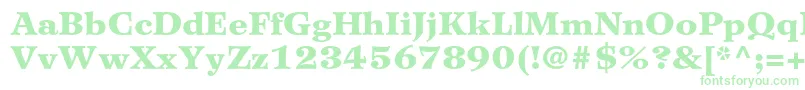 WilkeltstdBlack Font – Green Fonts