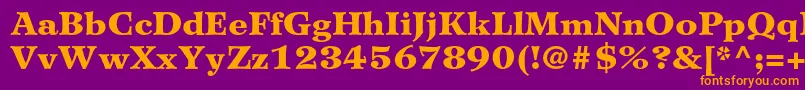 WilkeltstdBlack Font – Orange Fonts on Purple Background