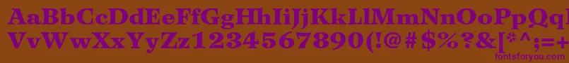 WilkeltstdBlack Font – Purple Fonts on Brown Background