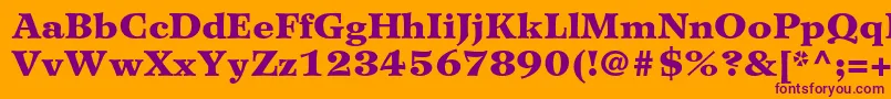 WilkeltstdBlack Font – Purple Fonts on Orange Background