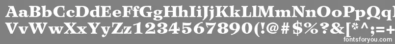 WilkeltstdBlack Font – White Fonts on Gray Background