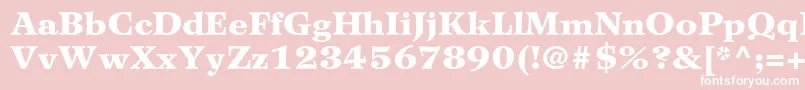 WilkeltstdBlack Font – White Fonts on Pink Background