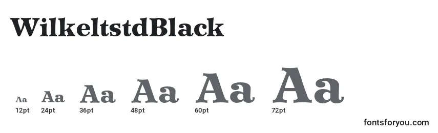 WilkeltstdBlack Font Sizes