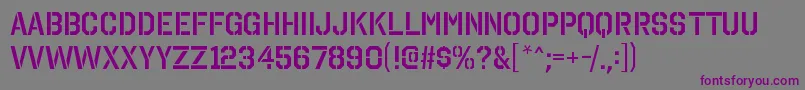 OctinstencilsbRegular Font – Purple Fonts on Gray Background