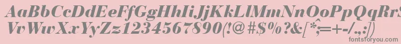 BodonirecutheavyRegularitalic Font – Gray Fonts on Pink Background