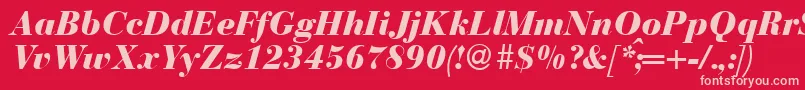 BodonirecutheavyRegularitalic Font – Pink Fonts on Red Background