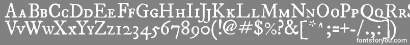 Fepisc2-fontti – valkoiset fontit harmaalla taustalla