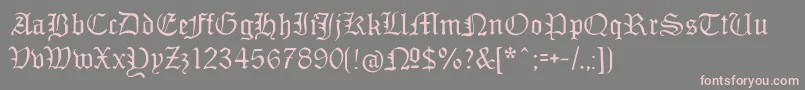 Monamourfrakturregular Font – Pink Fonts on Gray Background