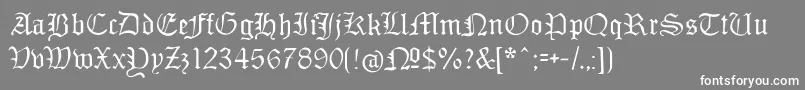 Monamourfrakturregular Font – White Fonts on Gray Background