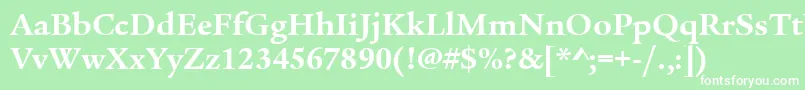 LegacySerifItcTtBold Font – White Fonts on Green Background