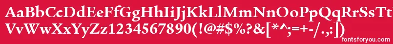 フォントLegacySerifItcTtBold – 赤い背景に白い文字