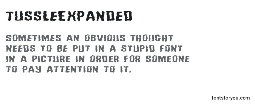 TussleExpanded Font