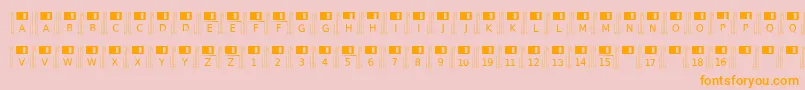 Floppydisk Font – Orange Fonts on Pink Background