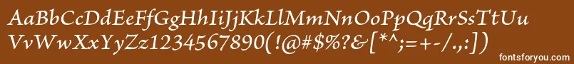 BriosoproMediumitcapt Font – White Fonts on Brown Background