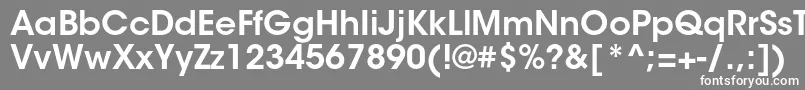 フォントItcavantgardestdDemi – 灰色の背景に白い文字