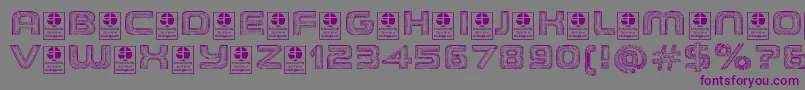 フォントTheWireframeDemo – 紫色のフォント、灰色の背景