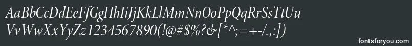 Шрифт MinionproCnitdisp – белые шрифты