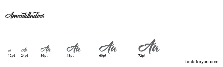 Размеры шрифта Amontilladios