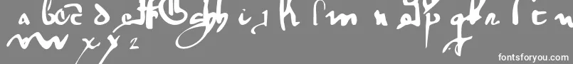 フォントGothicMinuskel1269Pw – 灰色の背景に白い文字