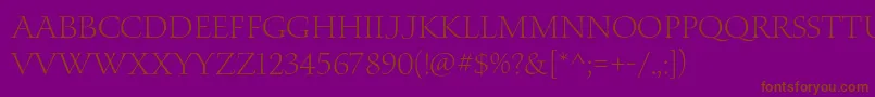 WaterstitlingproLt Font – Brown Fonts on Purple Background