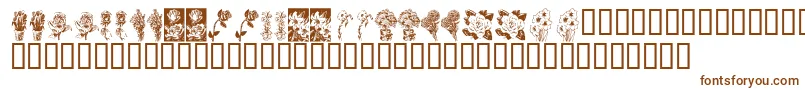 KrBeautifulFlowers Font – Brown Fonts on White Background